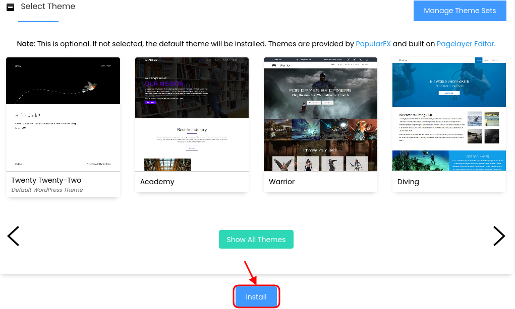 Wordpress Theme DirectAdmin