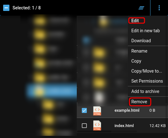 Edit HTML File Direct Admin