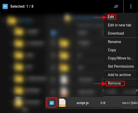 Edit Files DirectAdmin