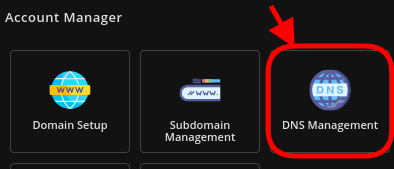 DNS Management Direct Admin