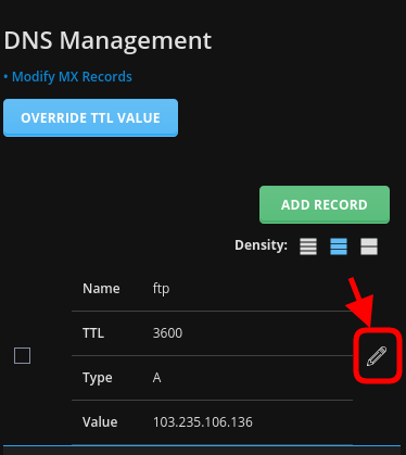 Edit DNS Record Direct Admin